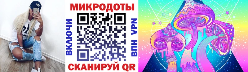 ссылка на мегу маркетплейс  Бор  Псилоцибиновые грибы Cubensis 